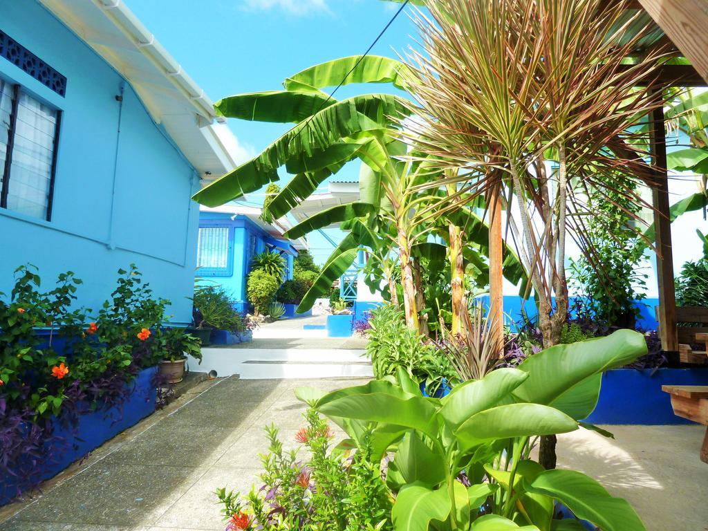 Miller'S Guest House Buccoo Exterior photo